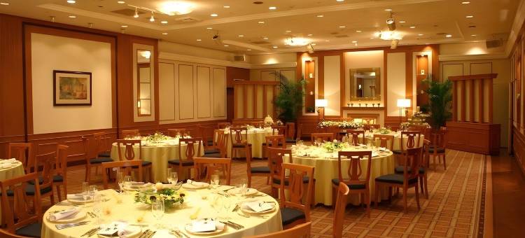 Alpico广场酒店(Alpico Plaza Hotel)图片