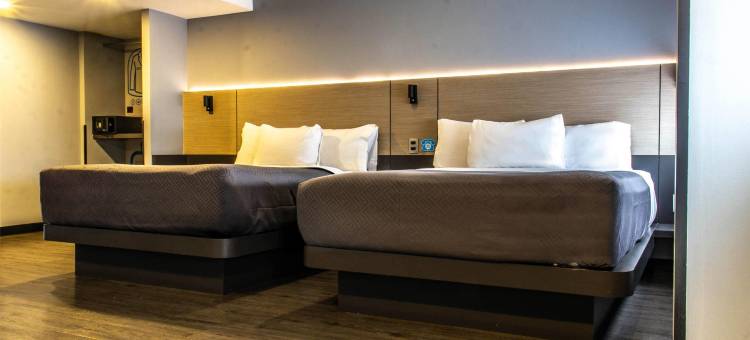 Hotel MX aeropuerto CDMX, Trademark Collection by Wyndham图片