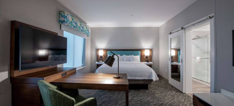 邓肯维尔欢朋套房酒店(Hampton Inn & Suites Duncanville Dallas)图片