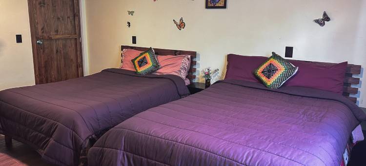 SiempreViva 旅馆由GEstores运营(SiempreViva Hospedaje By GEstores)图片