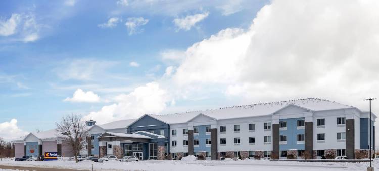 舒适酒店及套房(Comfort Inn & Suites)图片