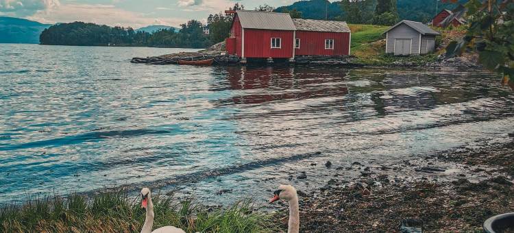 Fjordside Boathouse Hardanger图片