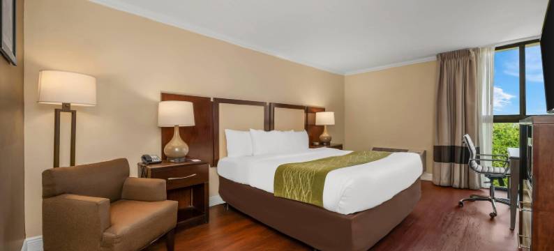 迪尔菲尔德海滩海淀舒适酒店(Comfort Inn Oceanside Deerfield Beach)图片