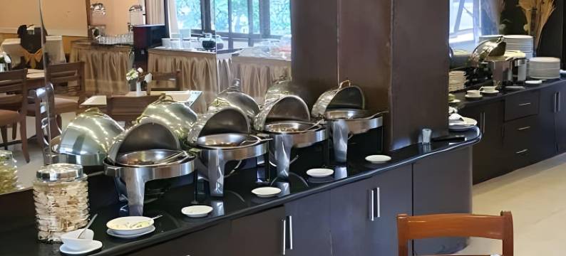 里雅迪皇宫酒店(Riyadi Palace Hotel)图片