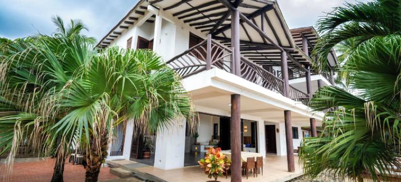 科科努科海滩帕洛米诺(Coconuco Beach Palomino)图片