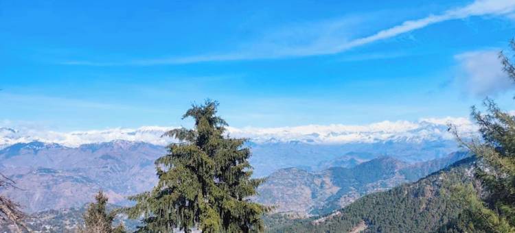 高级酒店 M-S 度假村 达尔豪西(Premium Hotel M-S Resort Dalhousie)图片