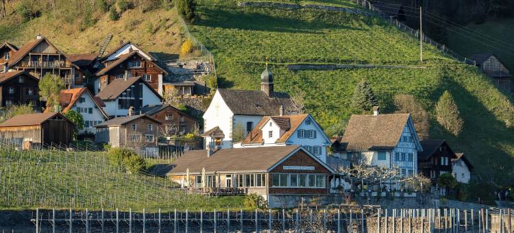 瓦伦湖阁楼酒店(Lofthotel Walensee)图片