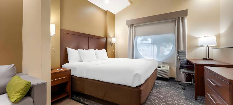 舒适套房酒店(Comfort Suites)图片
