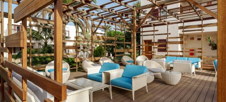 富埃特文图拉Alua套房 - 一价全包(Alua Suites Fuerteventura - All Inclusive)图片