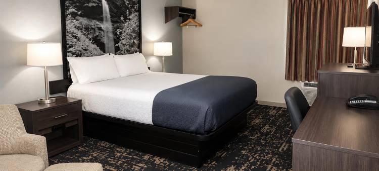 诺克斯维尔市中心北美洲最佳价值旅馆(Americas Best Value Inn Knoxville Downtown North)图片