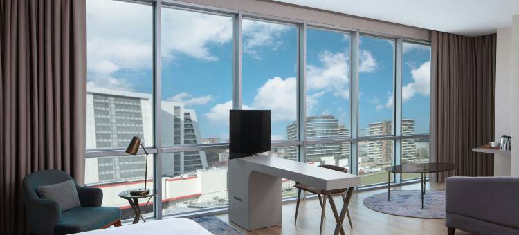 伊斯坦布尔卡厄特哈内万豪德尔塔酒店(Delta Hotels Istanbul Kagithane)图片