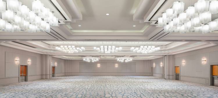 亚特兰大巴克海区特威斯汀酒店(The Westin Buckhead Atlanta)图片