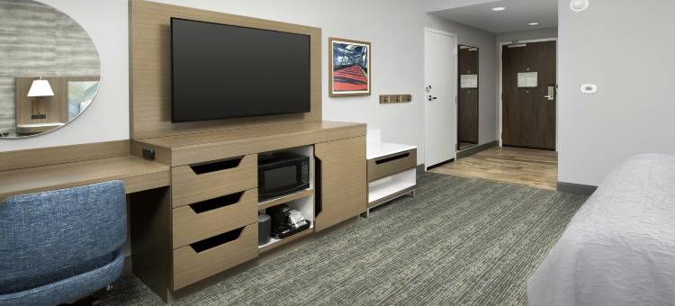 切尔西波士顿洛根机场欢朋酒店(Hampton Inn Boston Logan Airport Chelsea)图片
