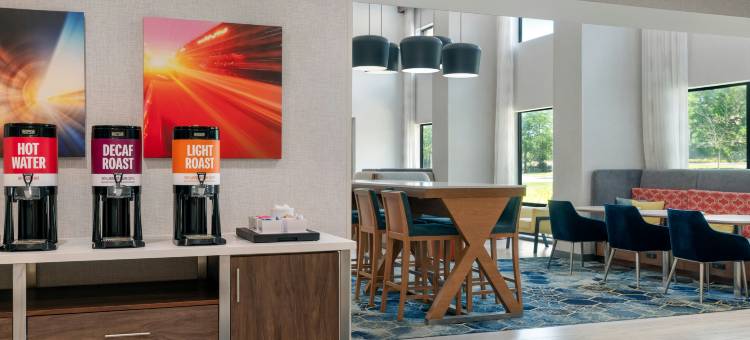 伊普西兰蒂欢朋套房酒店(Hampton Inn & Suites Ypsilanti)图片