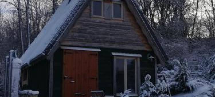 WillowTree Cottage图片