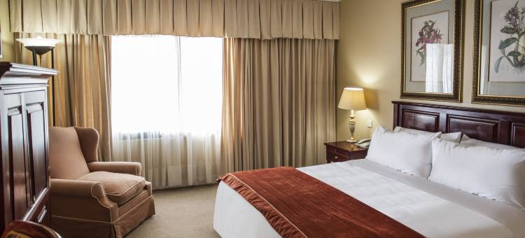 哈博罗内阿瓦尼度假村及(Avani Gaborone Resort & Casino)图片