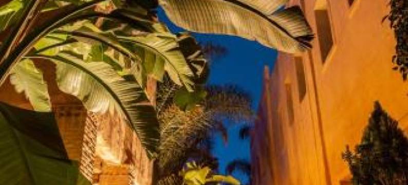 达尔图尔奇亚旅馆(Dar Tourkia)图片