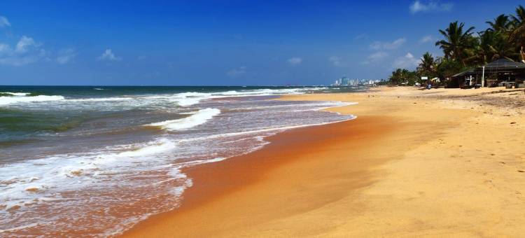 代希瓦勒时钟旅舍(Clock Inn Dehiwala)图片