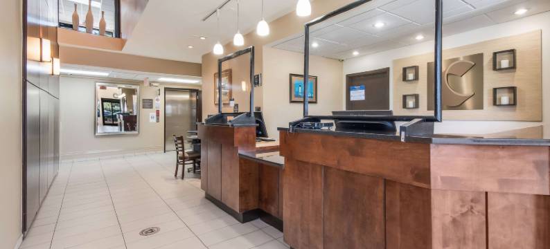 舒适酒店(Comfort Inn)图片