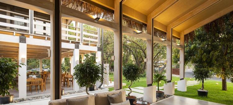 格莱迪伊瓜纳冲浪酒店(The Gilded Iguana)图片