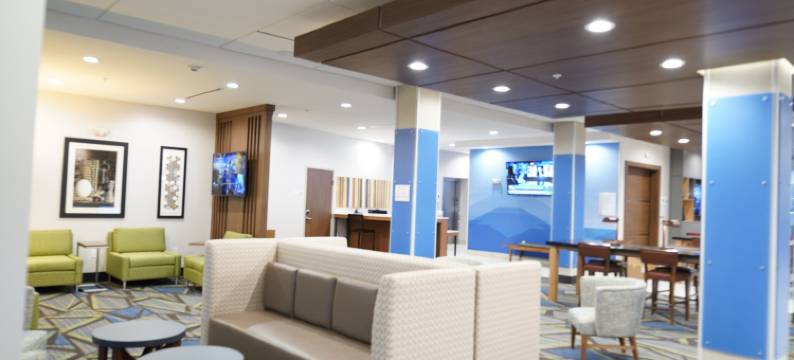 达拉斯市场中心爱田智选假日套房酒店(Holiday Inn Express & Suites DALLAS MARKET CTR - LOVE FIELD by IHG)图片