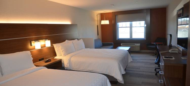 智选假日套房酒店罗彻斯特(Holiday Inn Express & Suites Rochester)图片