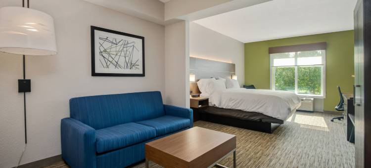 智选假日套房酒店奥兰多 - 阿波普卡(Holiday Inn Express & Suites ORLANDO - APOPKA by IHG)图片