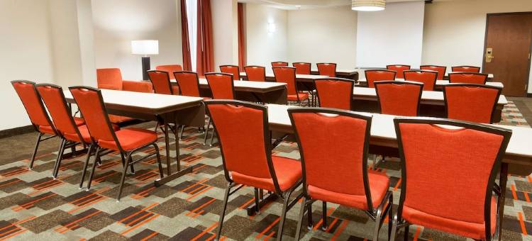 圣路易斯机场德鲁里套房酒店(Drury Inn & Suites St. Louis Airport)图片