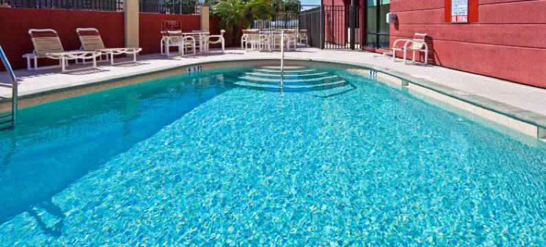 坦帕奥尔兹马智选假日酒店及套房(Holiday Inn Express & Suites TAMPA NORTHWEST-OLDSMAR by IHG)图片