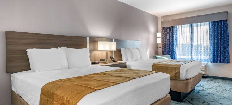 莱克兰贝斯特韦斯特优质酒店(Best Western Plus Lakeland)图片