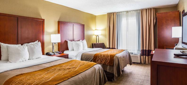 大学区舒适酒店(Comfort Inn University Area)图片