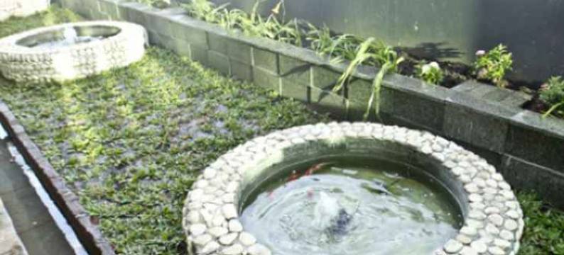 绿神酒店(Green Batara Hotel)图片