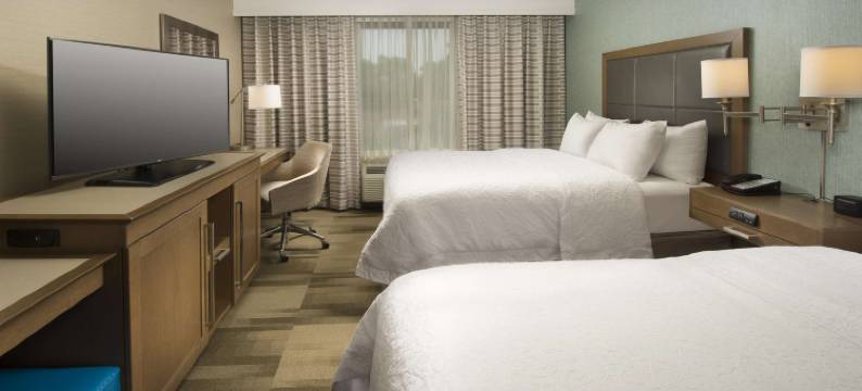 锡拉丘兹/凯瑞尔环路欢朋酒店(Hampton Inn & Suites Syracuse/Carrier Circle)图片