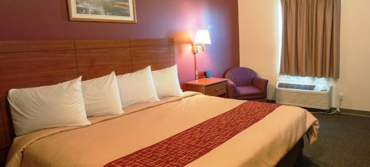 迪金森红顶套房酒店(Red Roof Inn & Suites Dickinson)图片