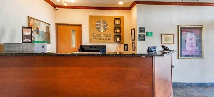 舒适套房酒店-麦迪逊北部(Comfort Inn & Suites Madison North)图片