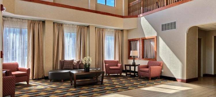 奥本希尔斯舒适套房酒店(Comfort Suites Auburn Hills-Detroit)图片