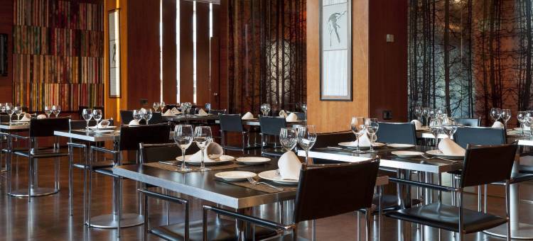 蓬费拉达AC酒店(AC Hotel Ponferrada)图片