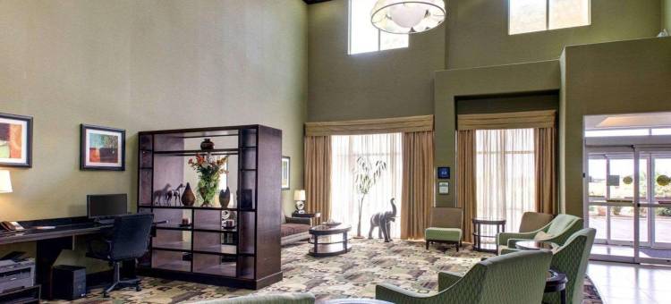 沃克西哈奇-达拉斯舒适套房酒店(Comfort Suites Waxahachie - Dallas)图片