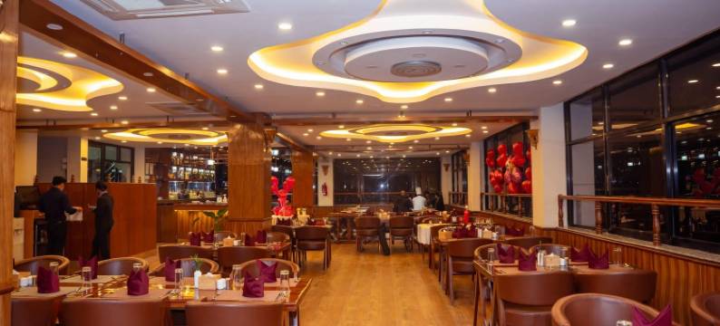 德里夏酒店(Drishya Hotel)图片