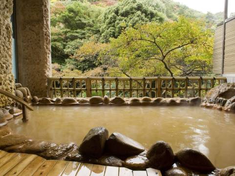 月光园鸿胧馆(Arima Onsen Gekkoen Korokan)图片