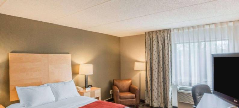 纽约州游乐场舒适酒店(Comfort Inn - Nys Fairgrounds)图片