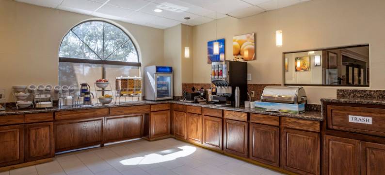 舒适套房酒店-近德克萨斯医学中心NRG体育场(Comfort Suites Near Texas Medical Center - NRG Stadium)图片