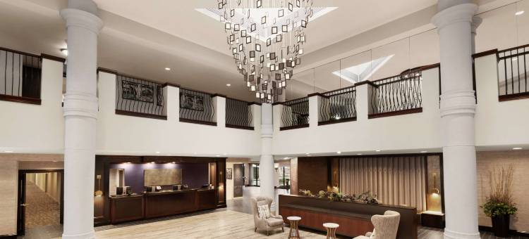 麦克莱恩泰森希尔顿逸林酒店(DoubleTree by Hilton McLean Tysons)图片