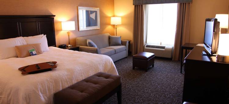 卡尔斯巴德欢朋套房酒店(Hampton Inn & Suites by Hilton Carlsbad)图片