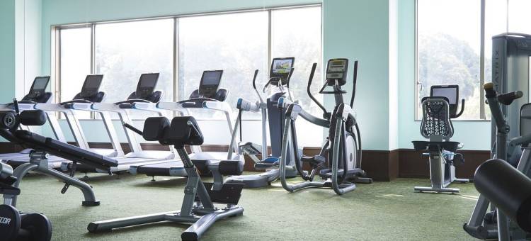 MYSTAYS成田精品酒店(HOTEL MYSTAYS Premier Narita)图片