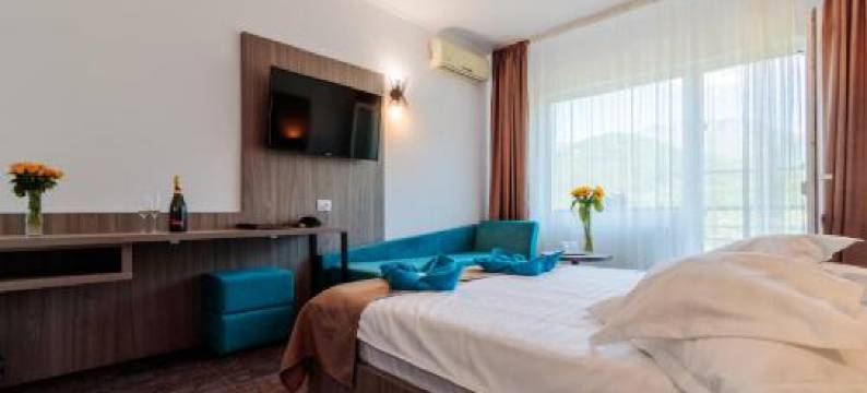 阿瑞子特酒店(Hotel Orizont Cozia)图片