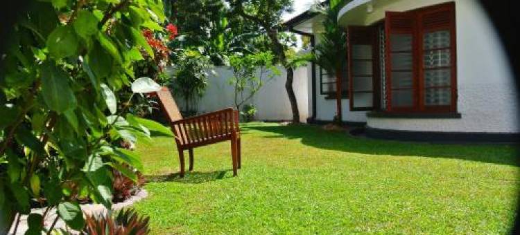 “27”火焰树城市绿洲住宿加早餐旅馆("27" Spathodea- Oasis in the City)图片