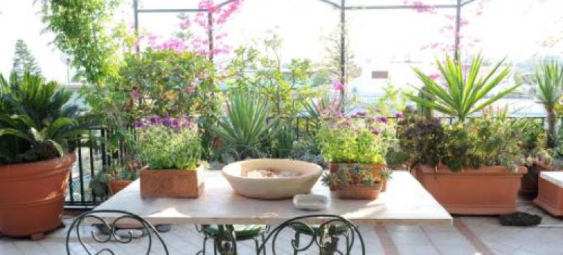 泰拉扎帕文公寓(Terrazza Pavone)图片