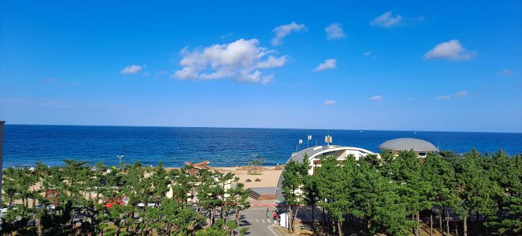 杨阳Naksan Pebble Beach(Yangyang Naksan Pebble Beach)图片