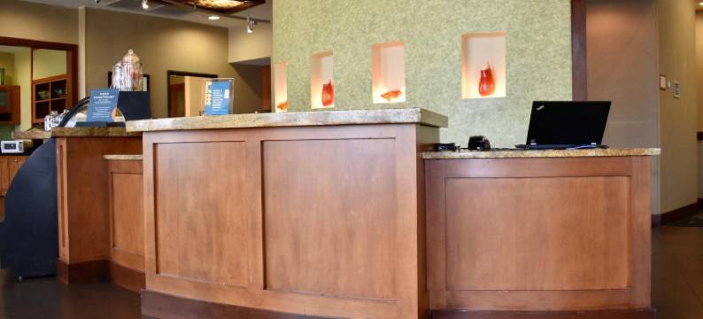 达拉斯/加兰德/理查森凯悦嘉轩酒店(Hyatt Place Dallas/Garland/Richardson)图片